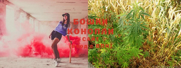 прущие крисы Абинск
