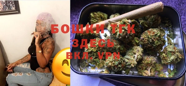 гидра Абаза