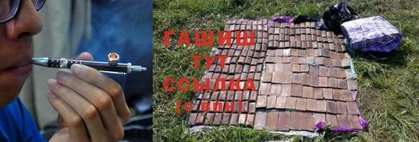 гидра Абаза