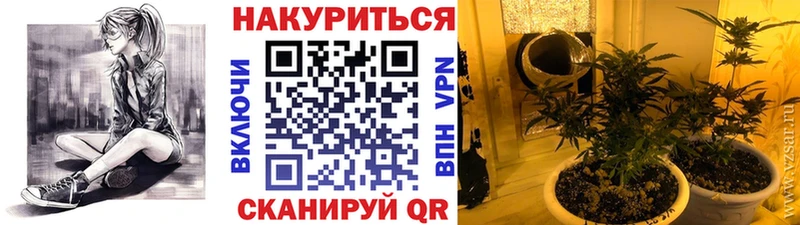 Марихуана план  Абинск 